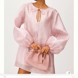 Anthropologie Pink Mini Dress